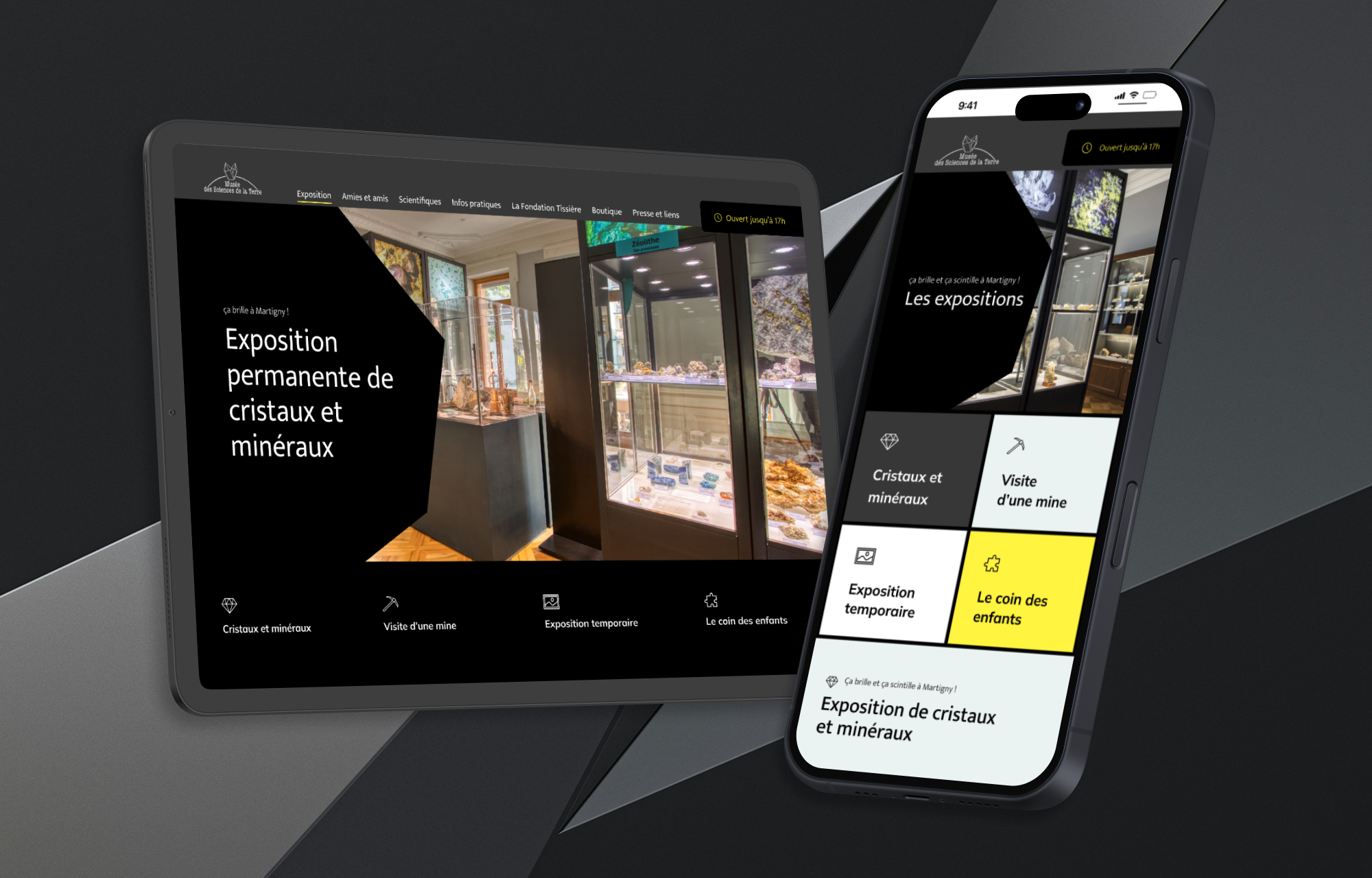 Site web du Musée des sciences de la terre